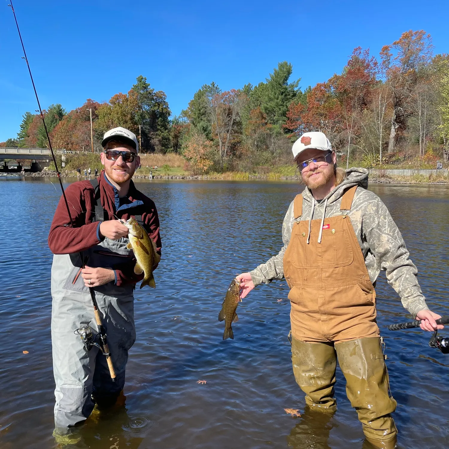 Fish caught on Fishbrain