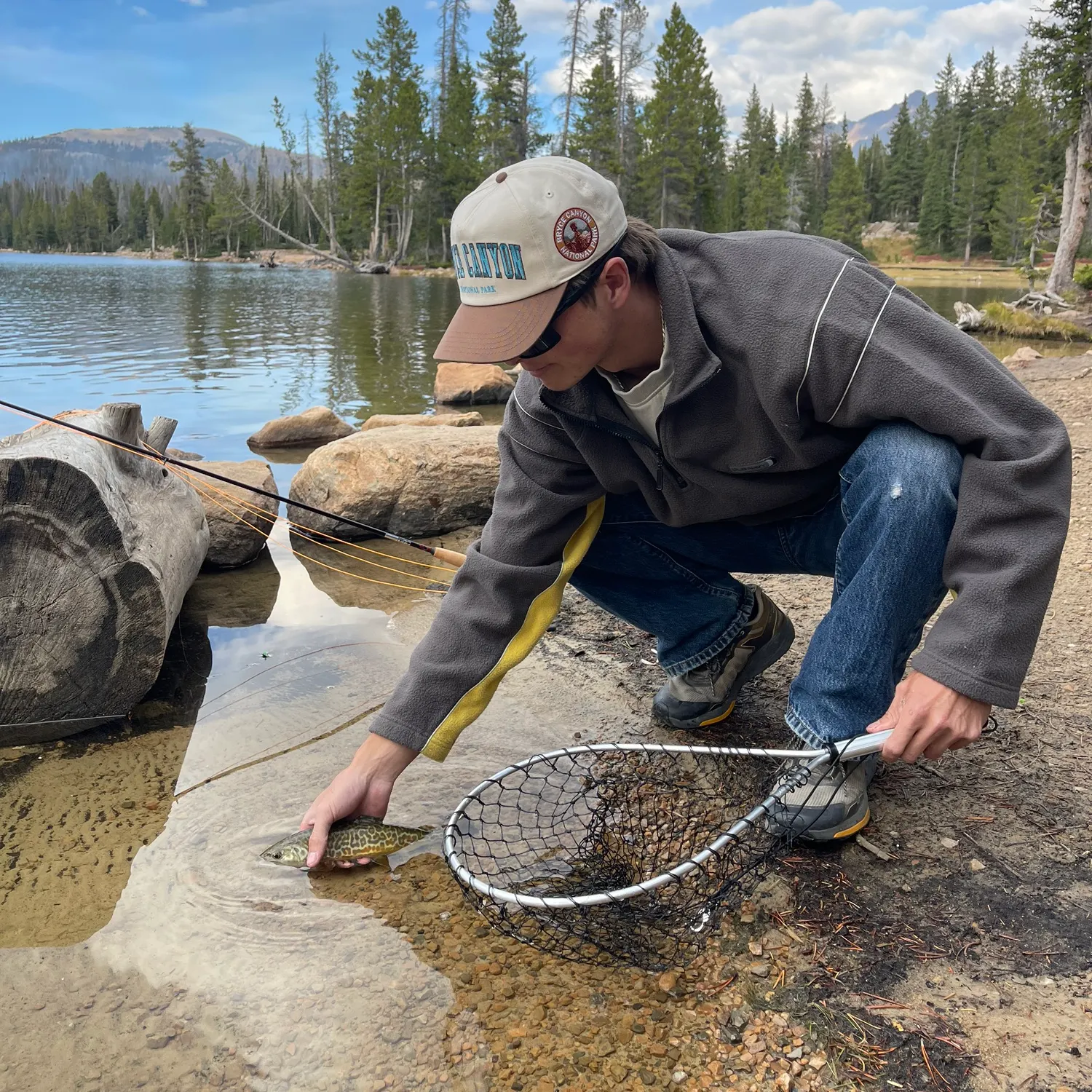 Tiger trout caught on Fishbrain