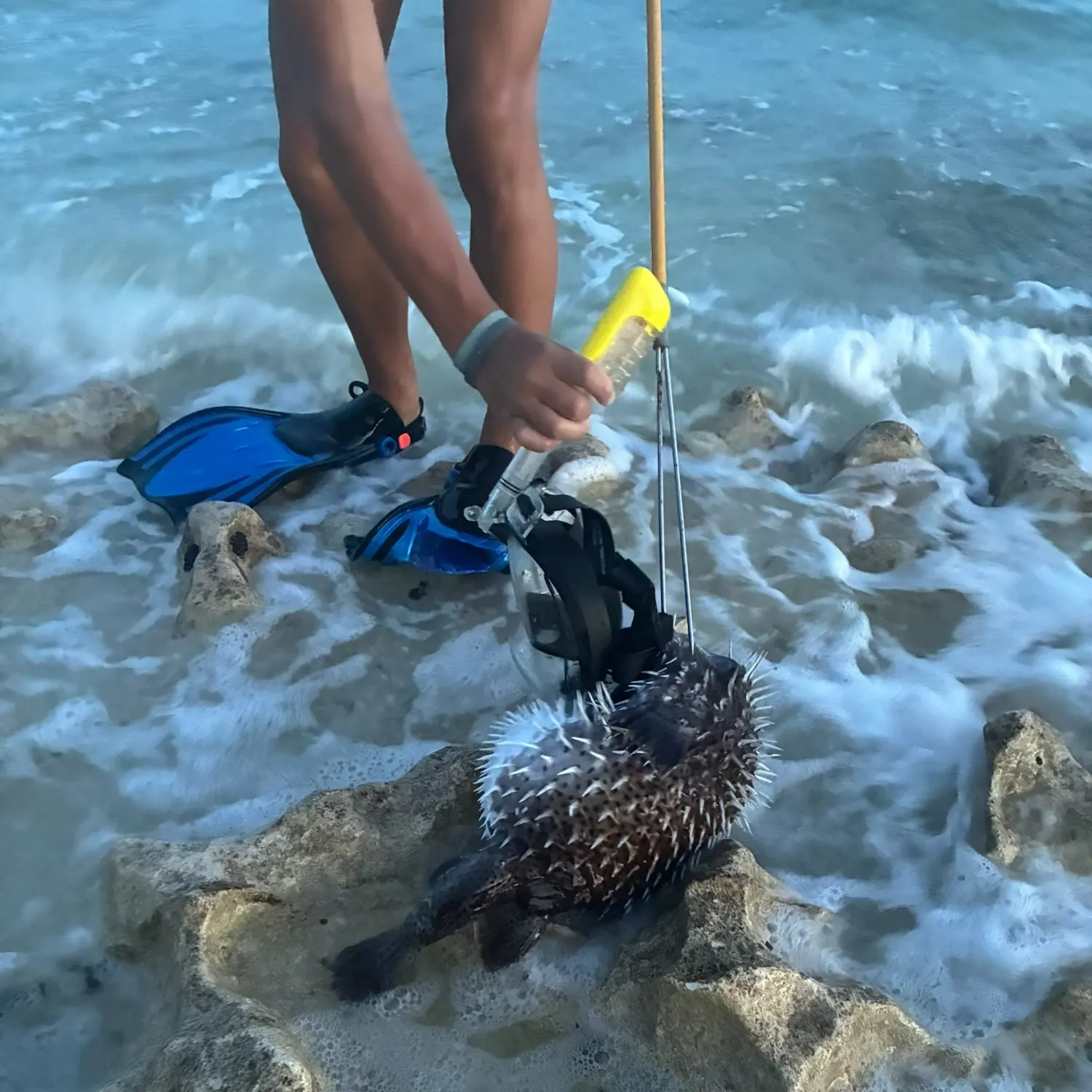 catch