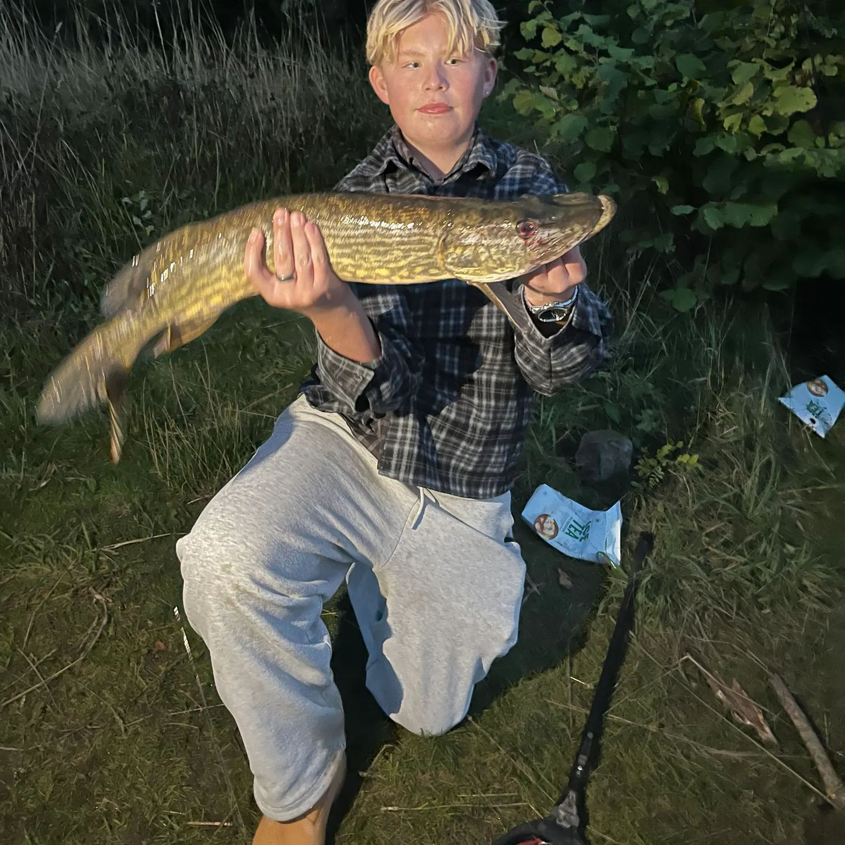 Northern pike caught on Fishbrain