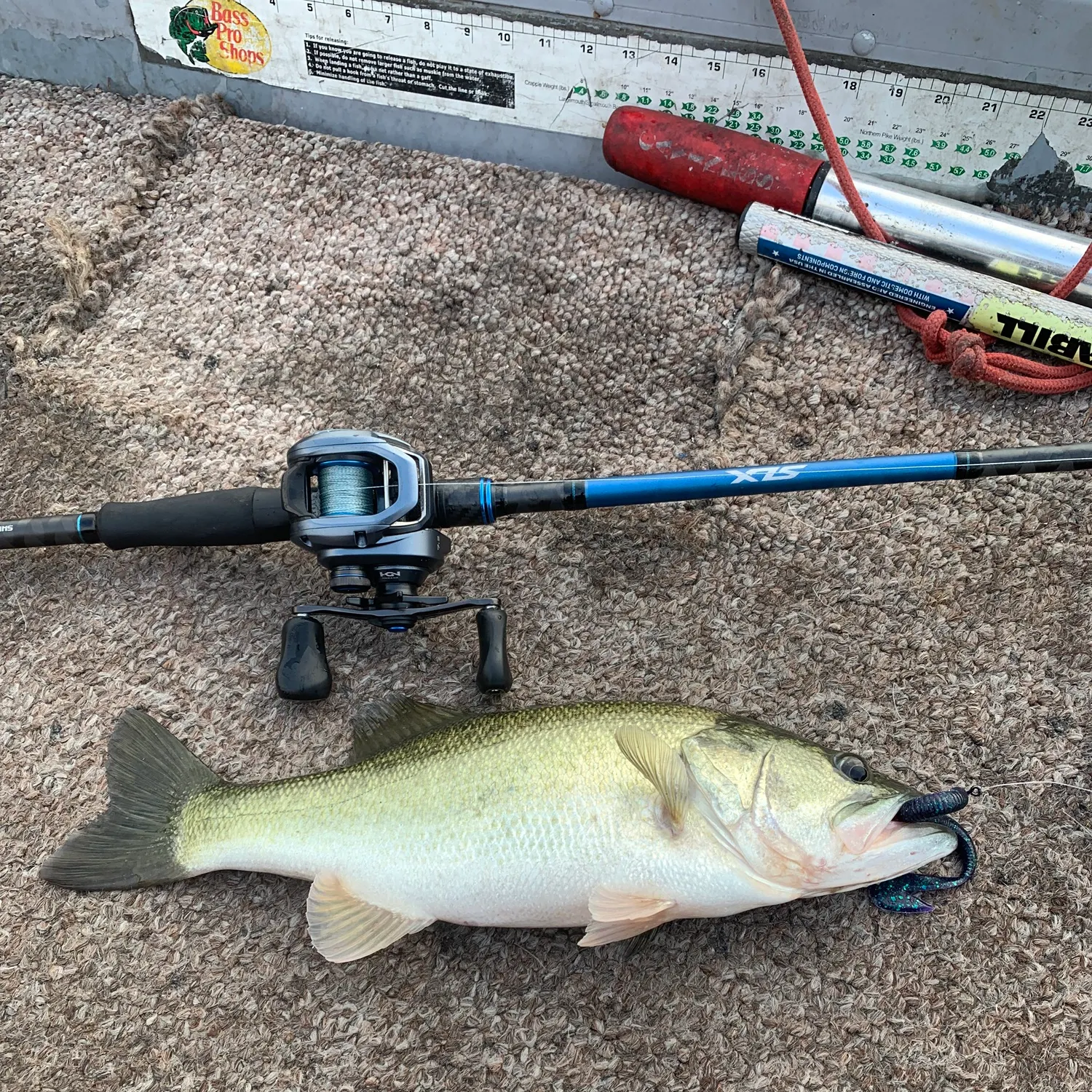 Largemouth bass caught on Fishbrain