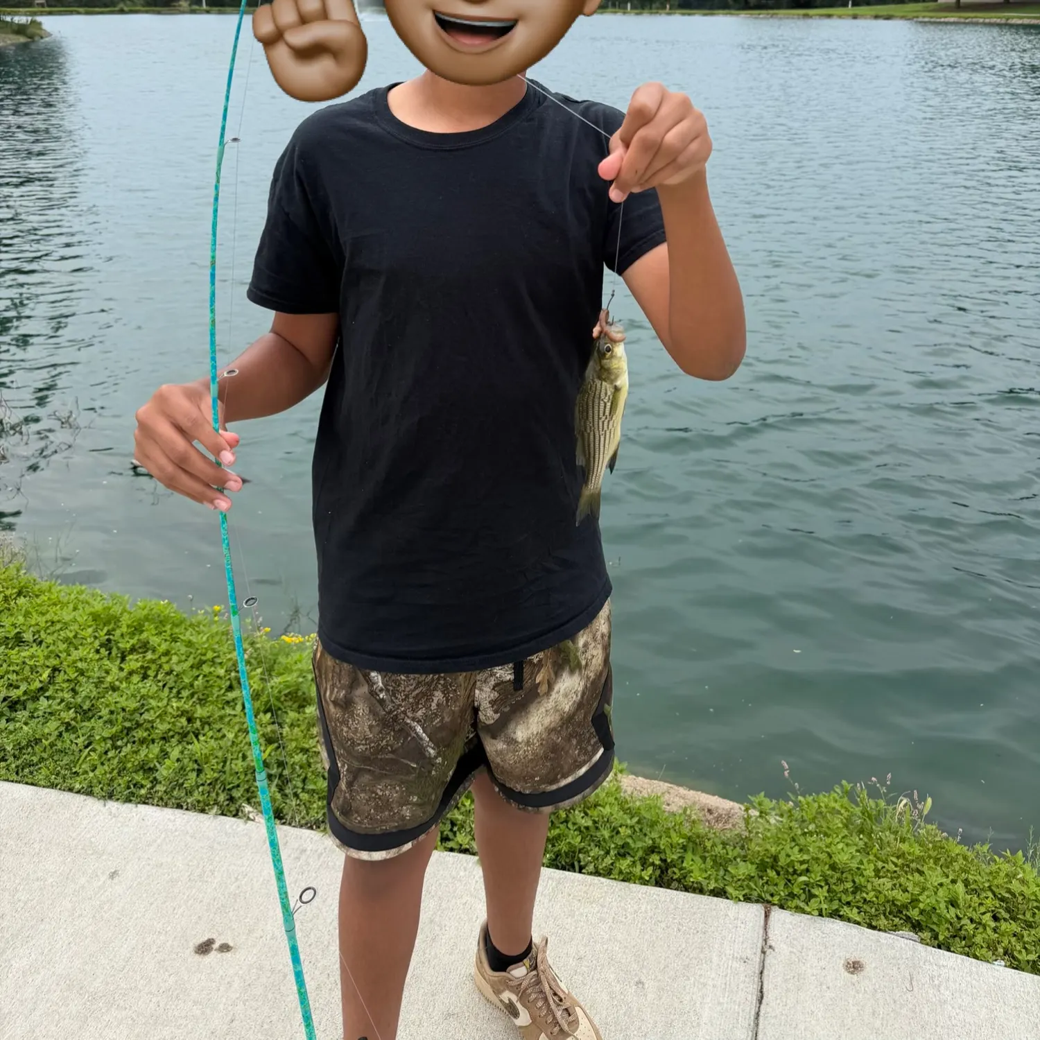 Yellow bass caught on Fishbrain