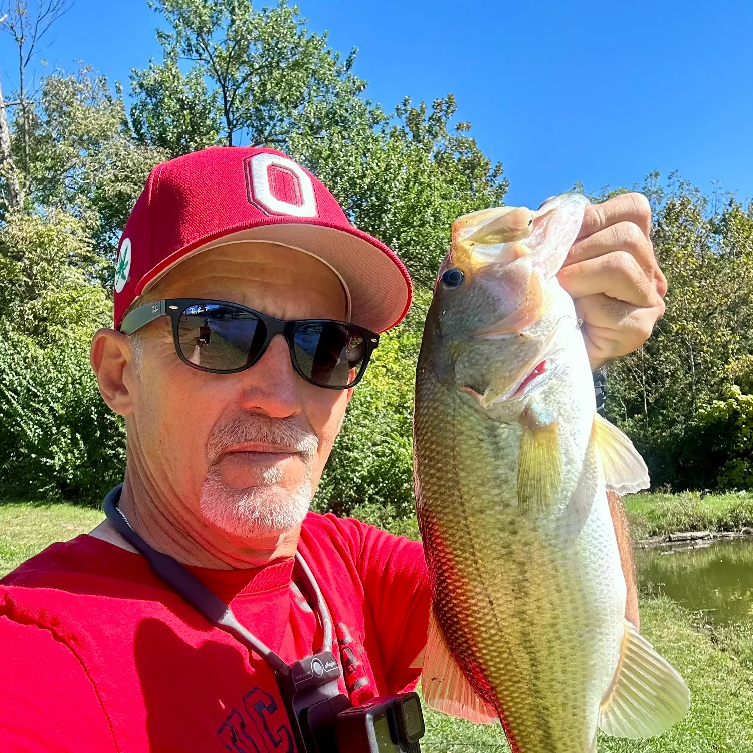 Largemouth bass caught on Fishbrain