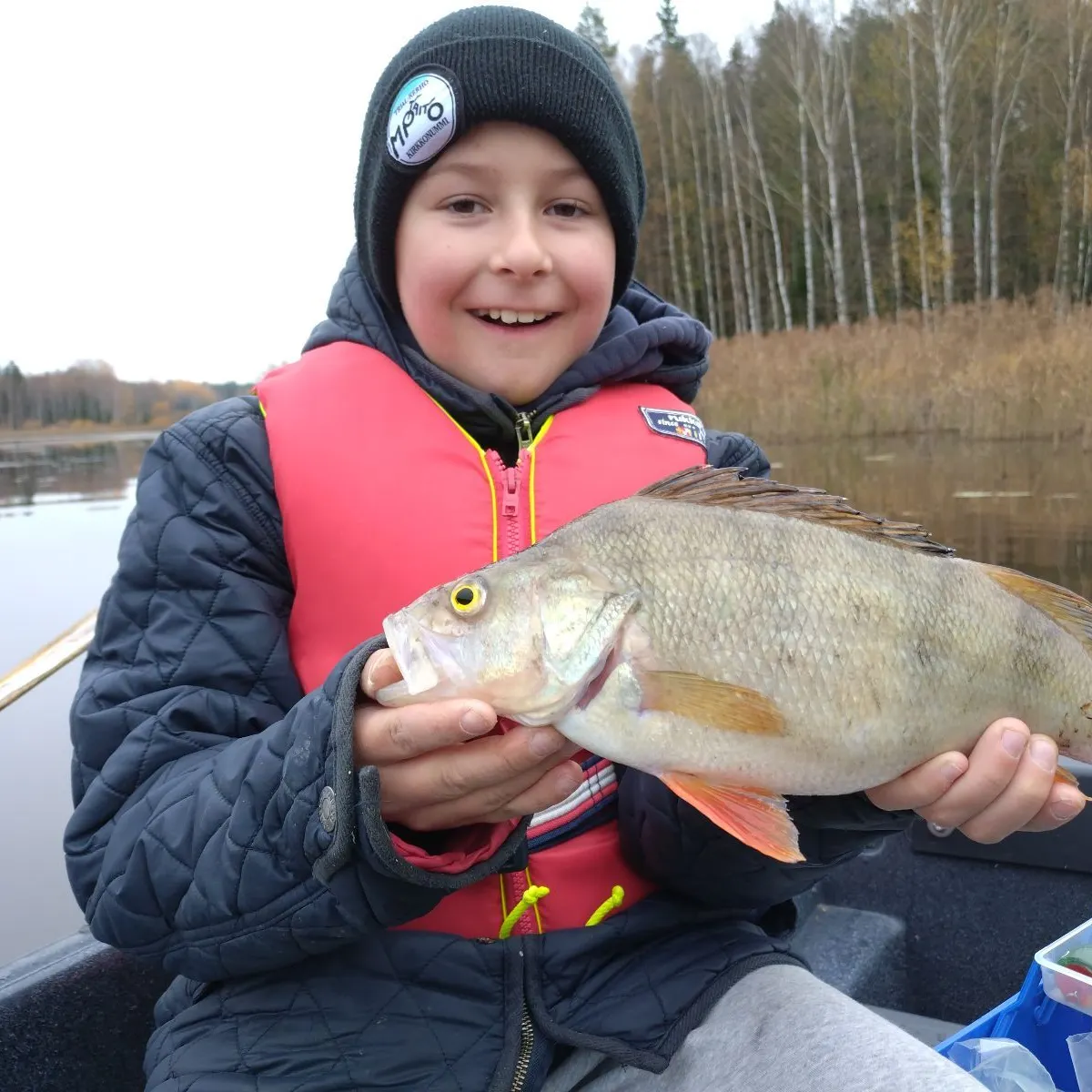 European perch caught on Fishbrain