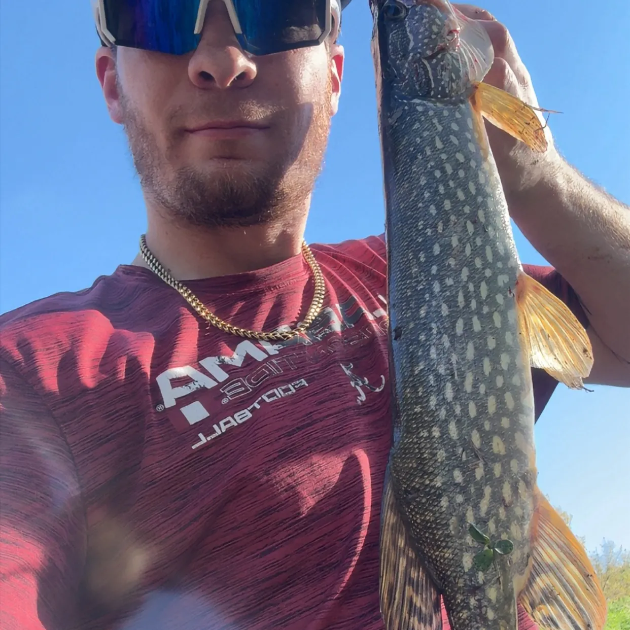 Northern pike caught on Fishbrain