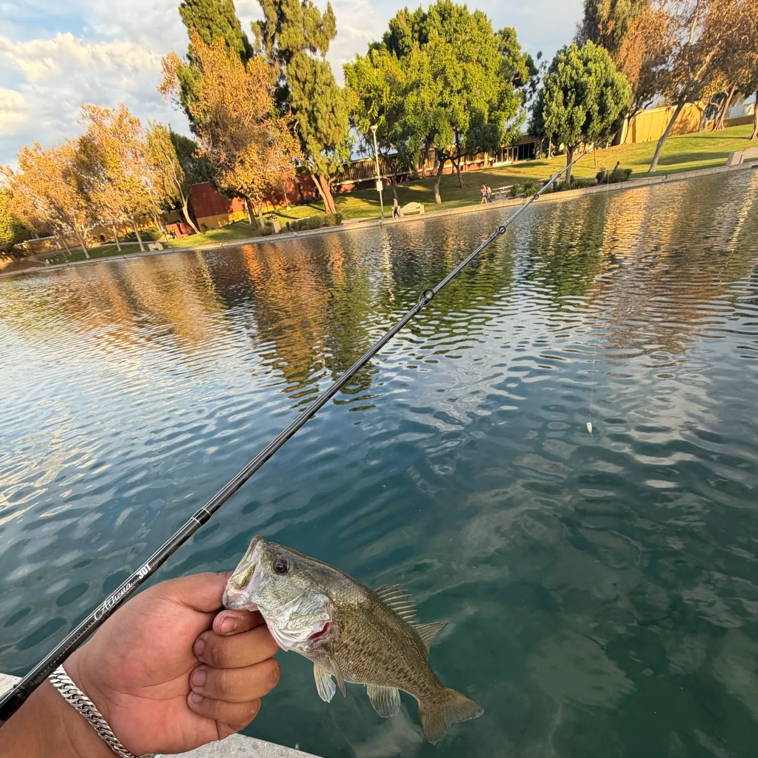 catch