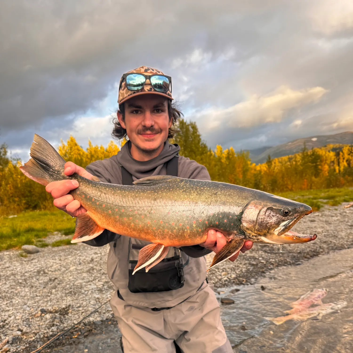 Dolly varden caught on Fishbrain
