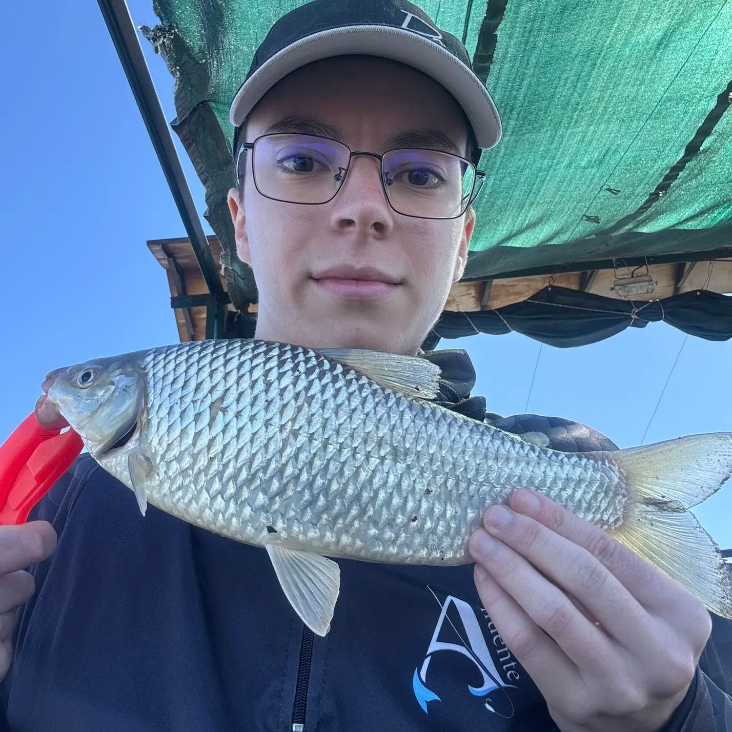 The most recent Boga catches on Fishbrain