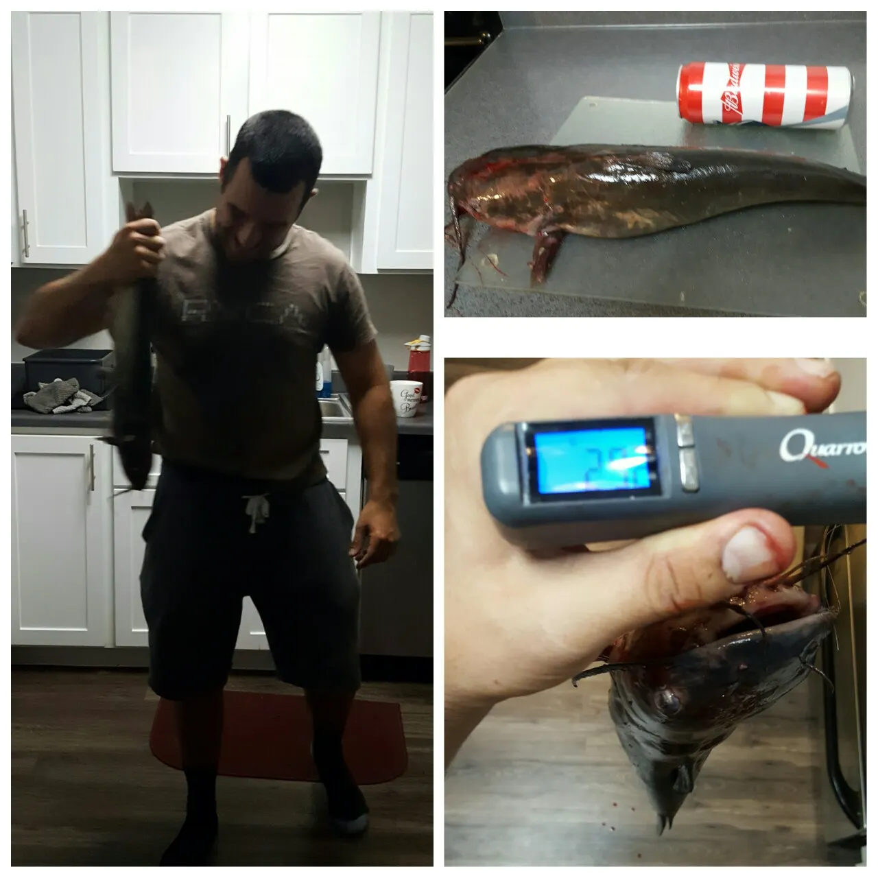 angler catch