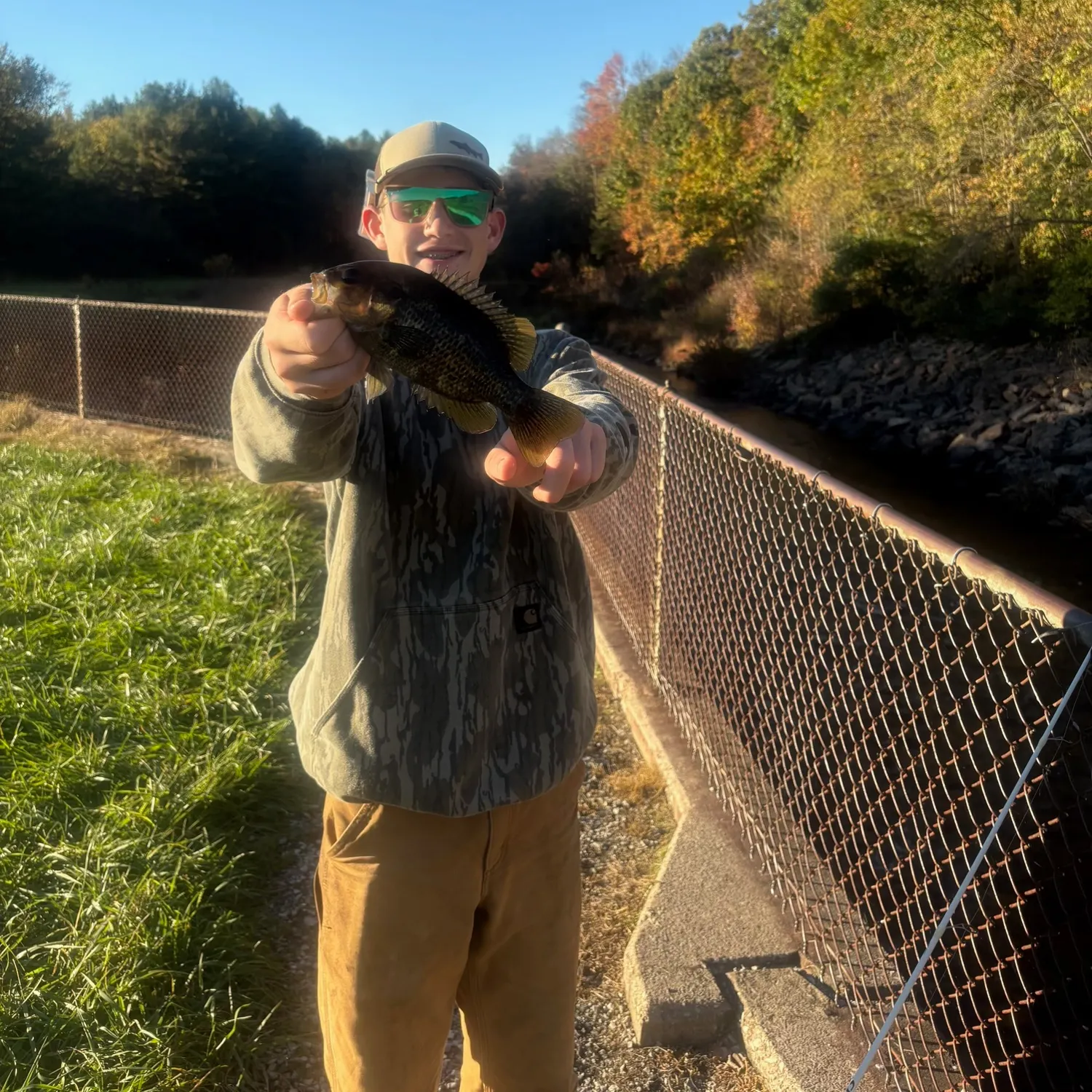 Rock bass caught on Fishbrain