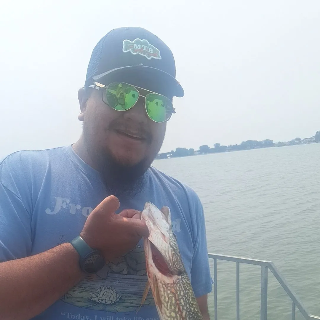 Northern pike caught on Fishbrain