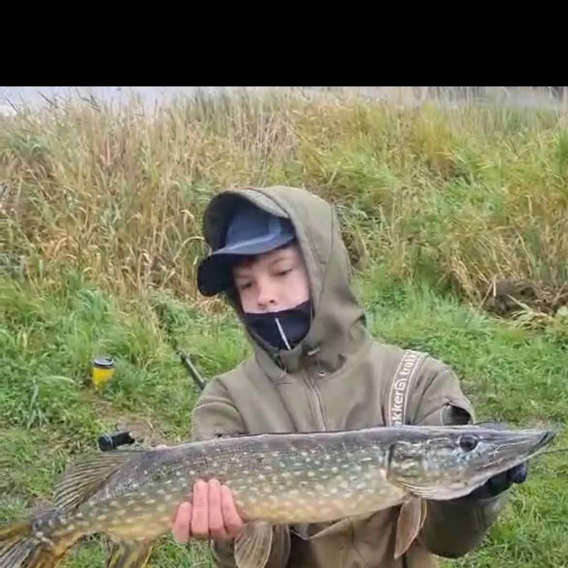 Northern pike caught on Fishbrain