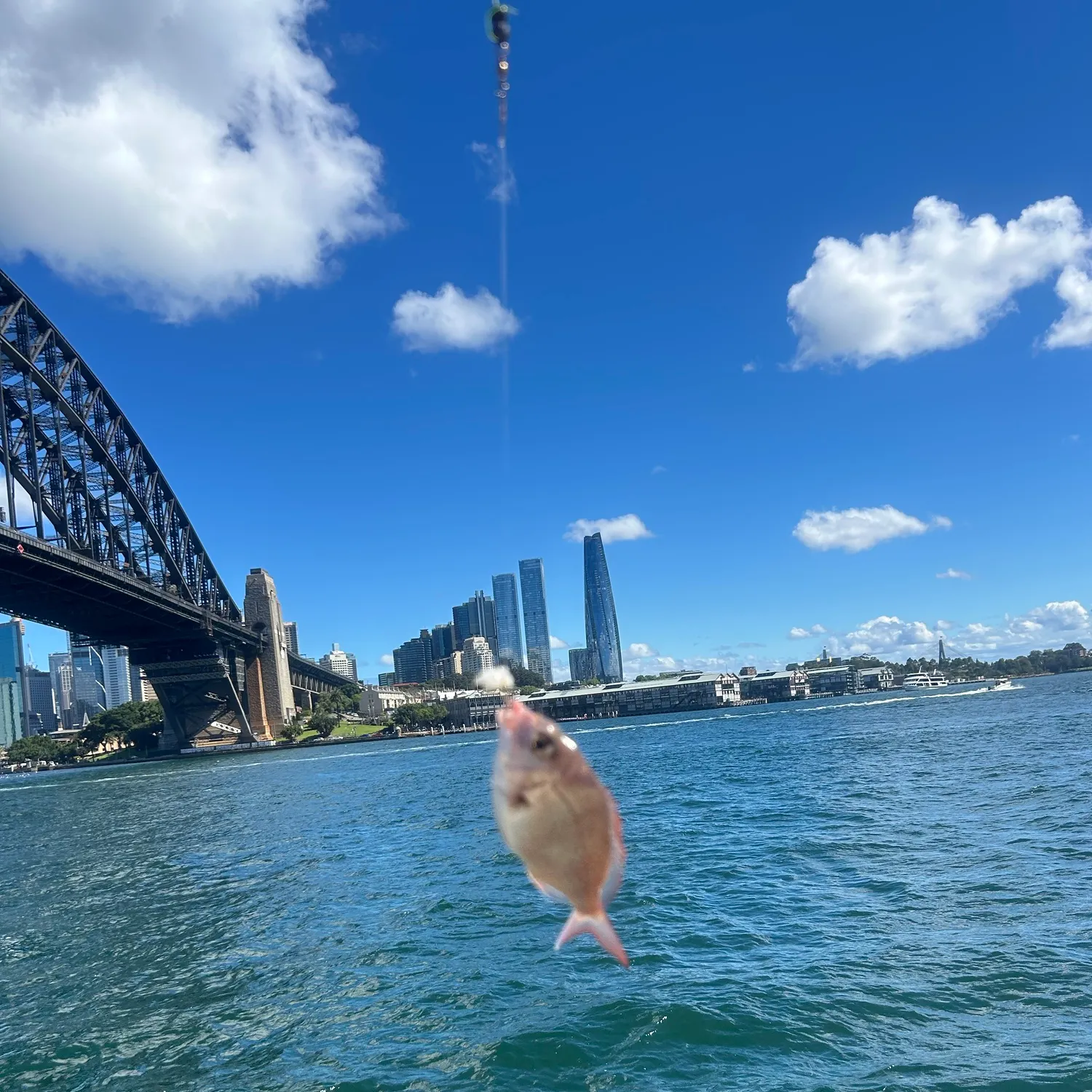 catch