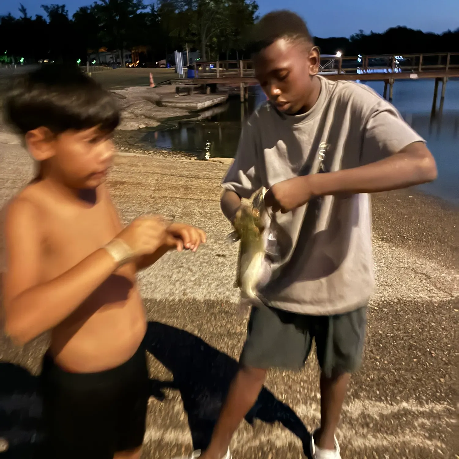 Channel catfish caught on Fishbrain
