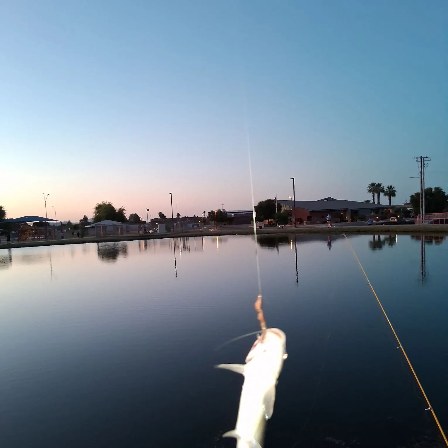 catch