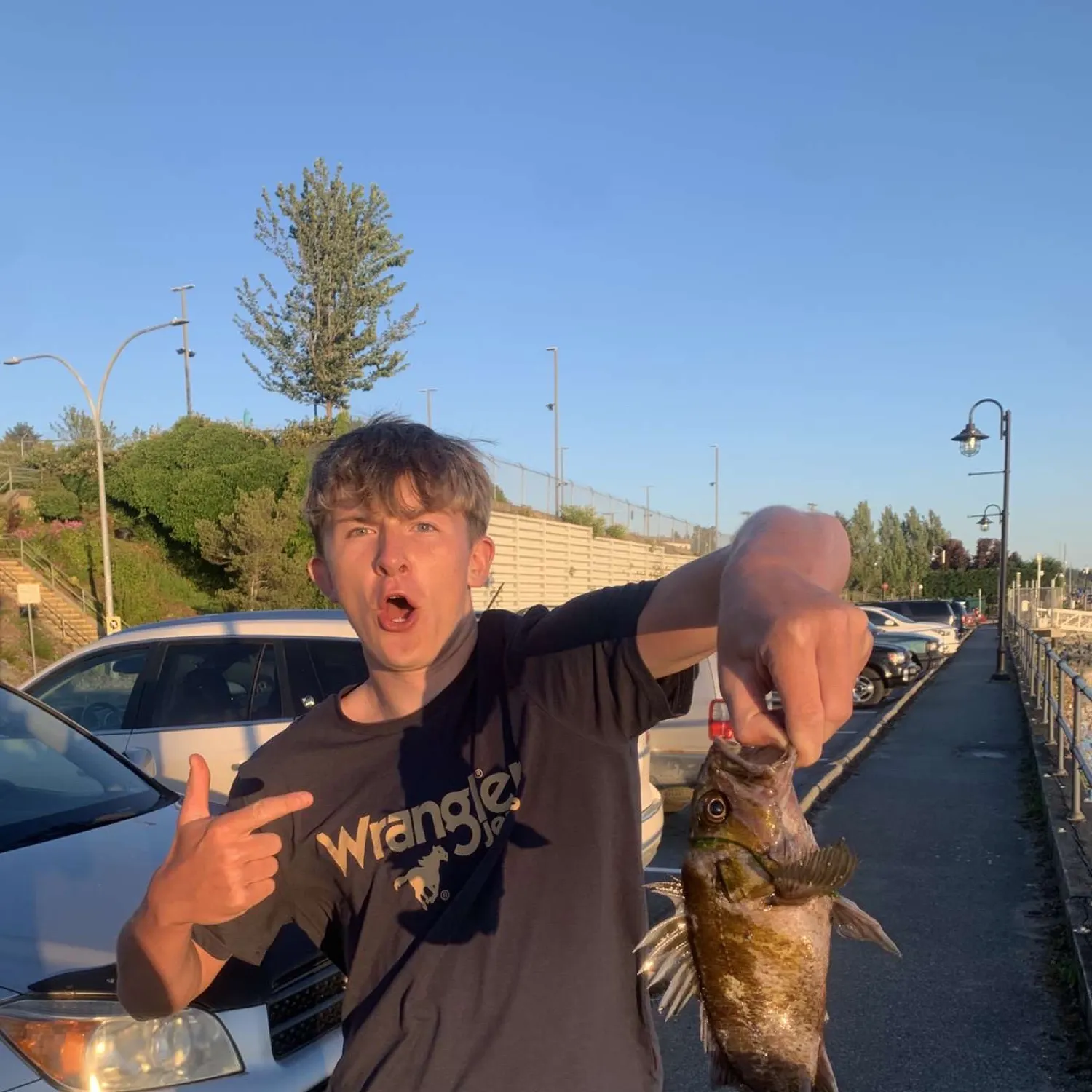 recently logged catches