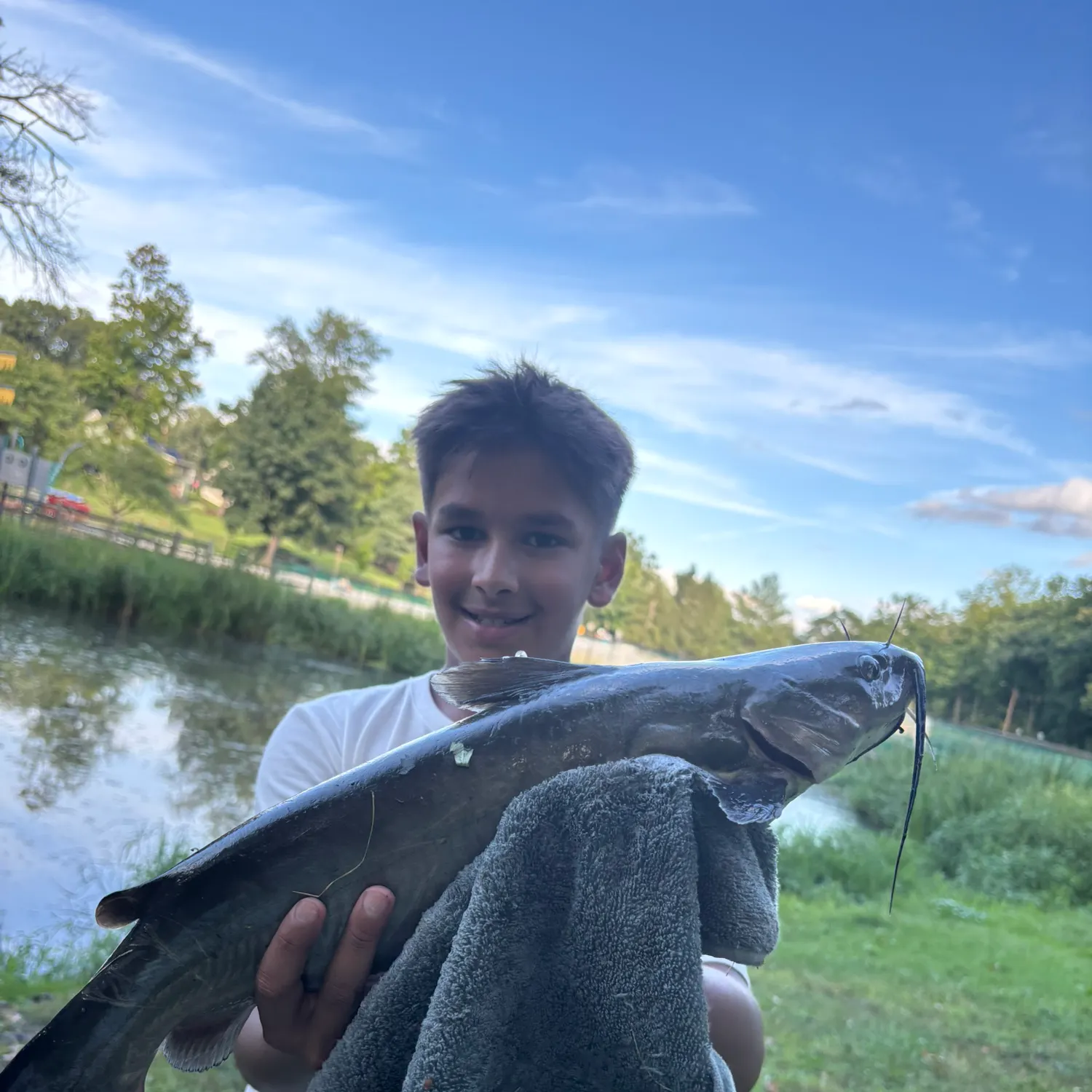 Channel catfish caught on Fishbrain