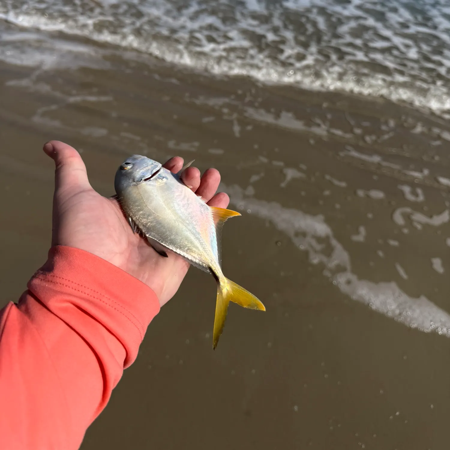 The most recent Leatherjack catches on Fishbrain