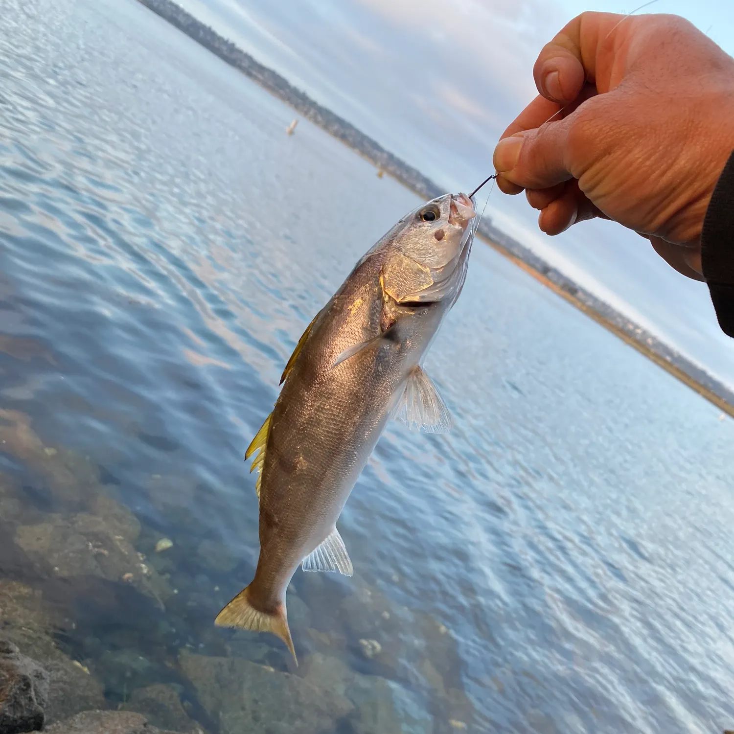 most liked catch image