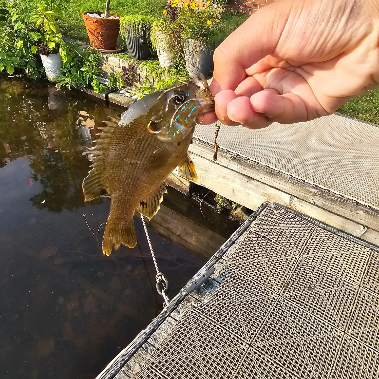 catch