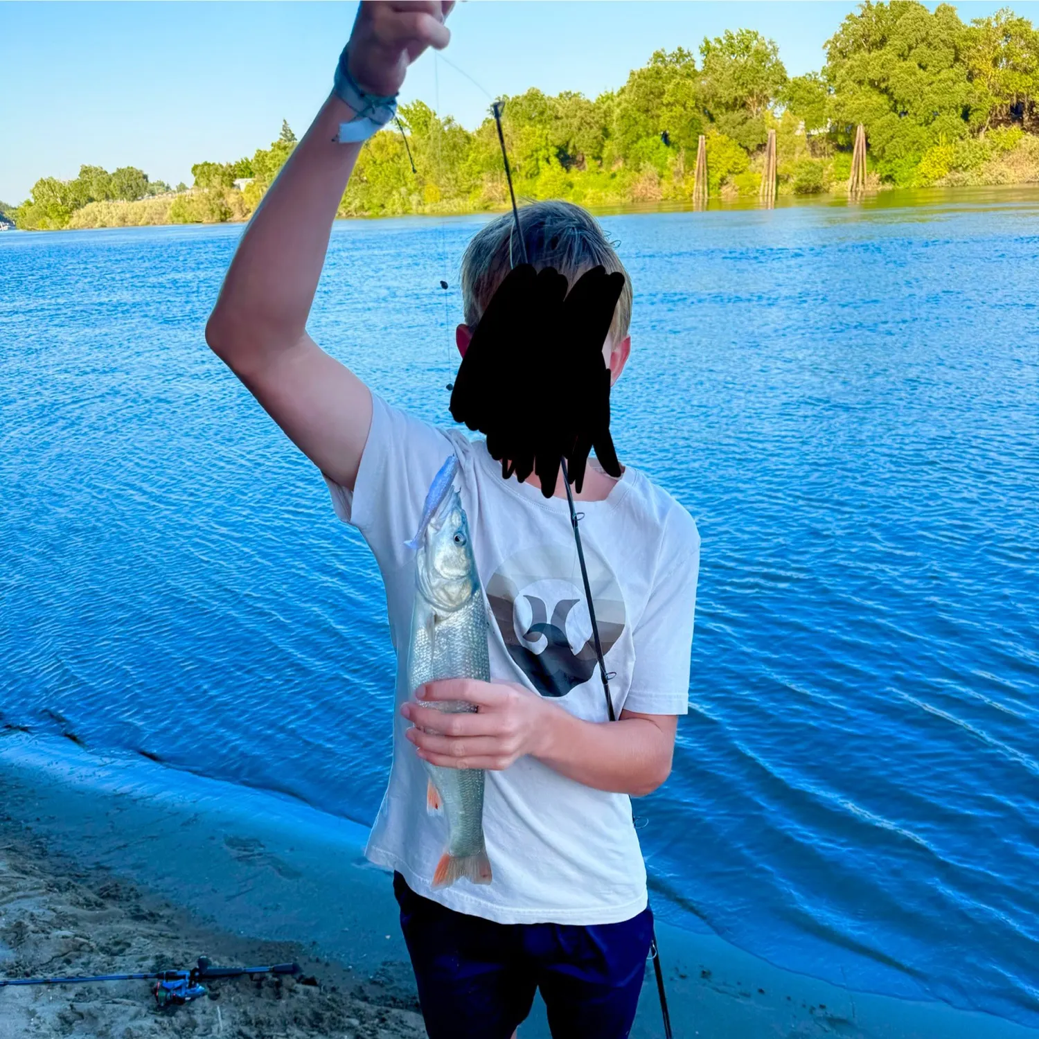 The most recent Splittail catches on Fishbrain