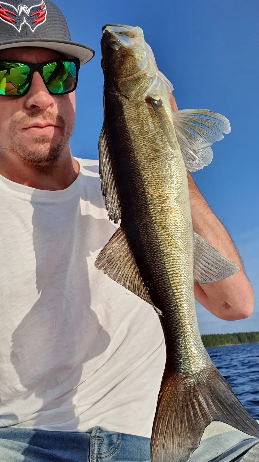 Post image from JPsson