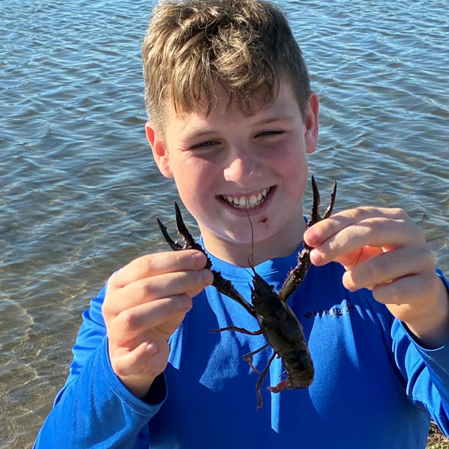 The most recent Red swamp crayfish catches on Fishbrain