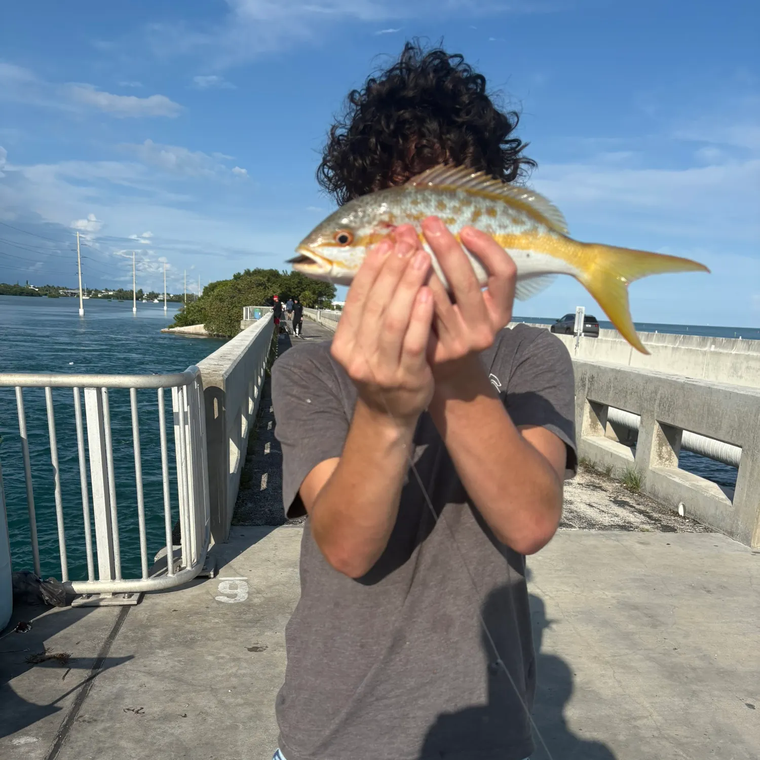 The most recent Leatherjack catches on Fishbrain