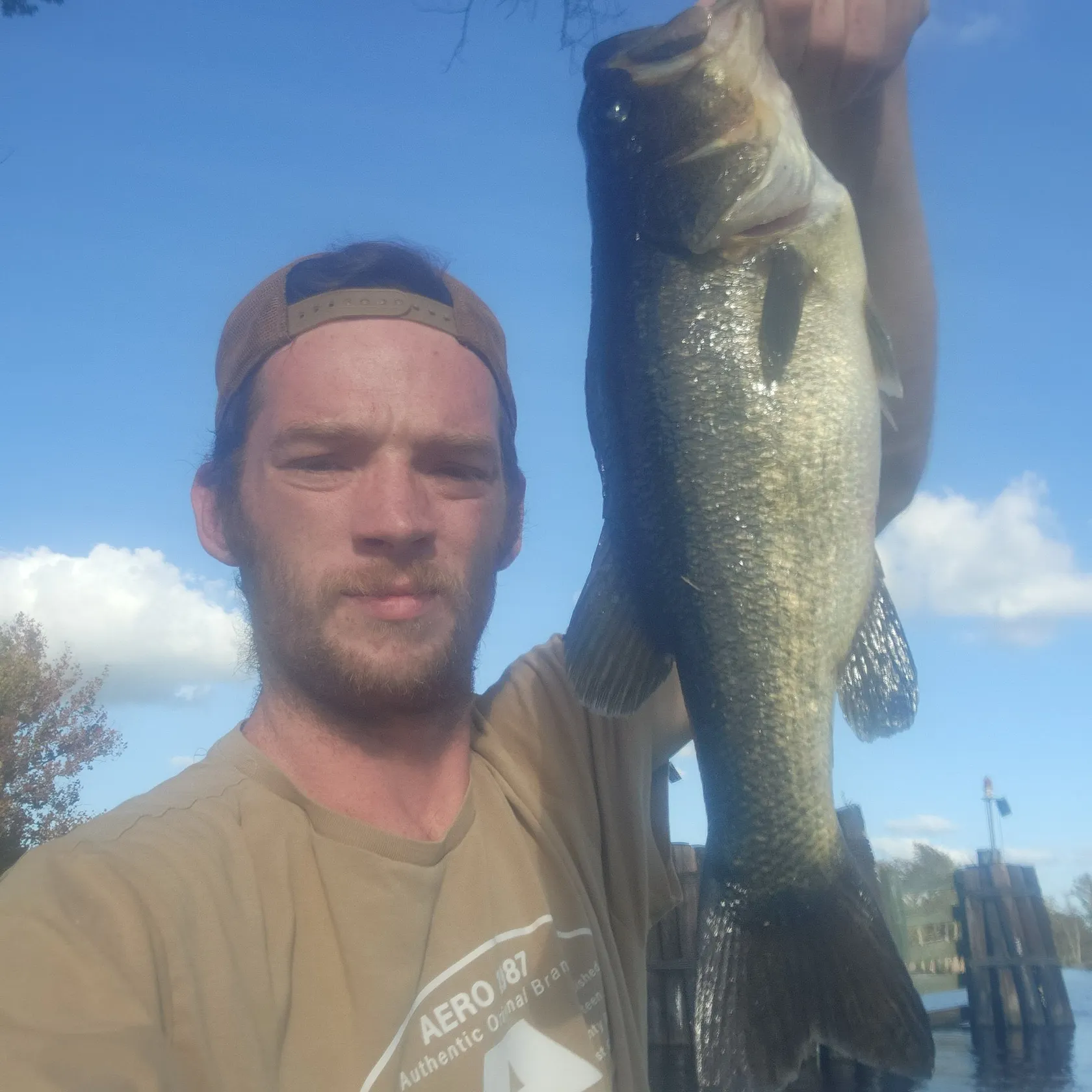 Largemouth bass caught on Fishbrain
