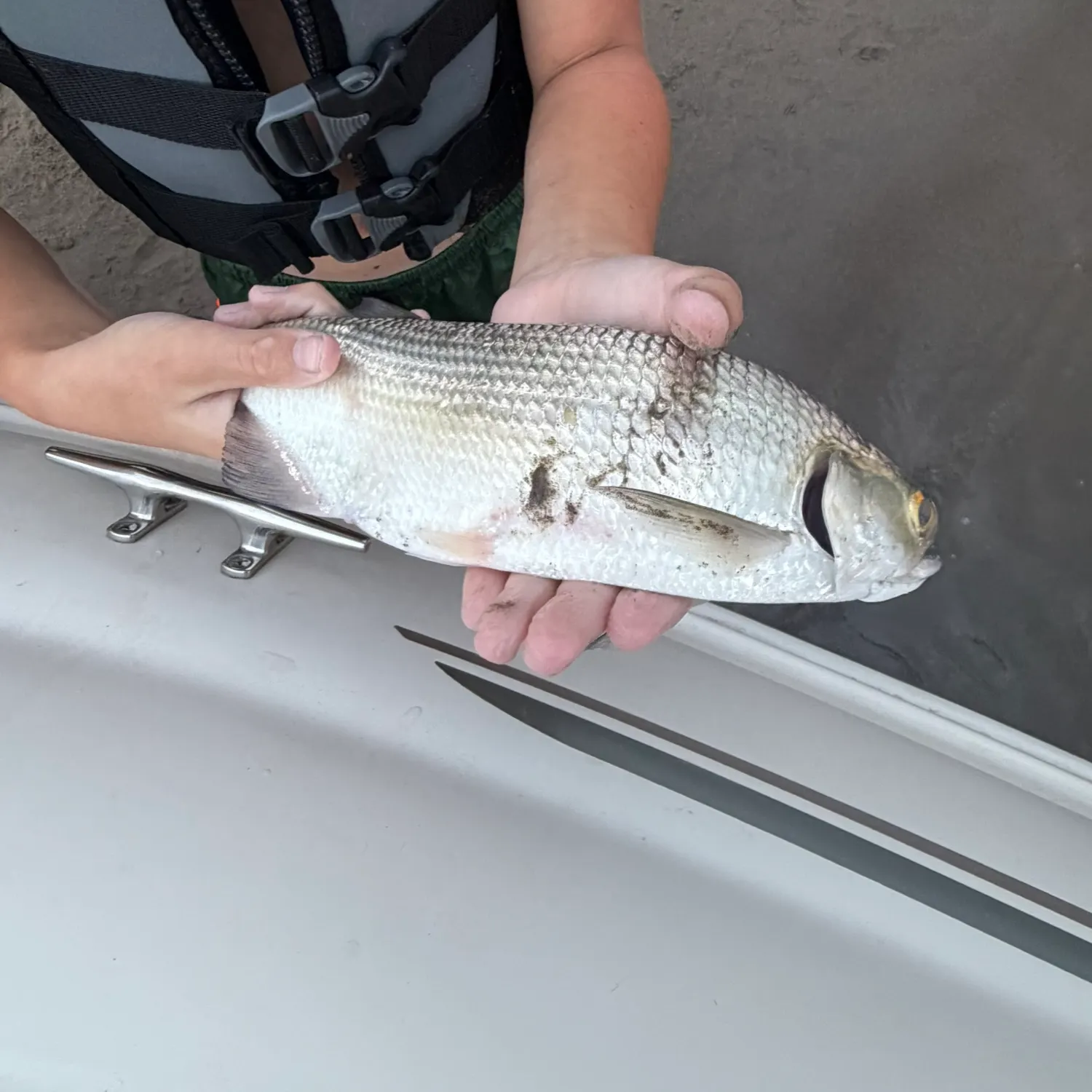 Goldeye caught on Fishbrain