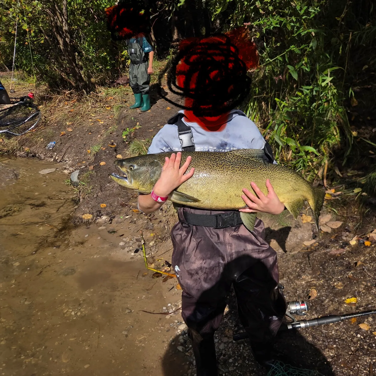 Chinook salmon caught on Fishbrain