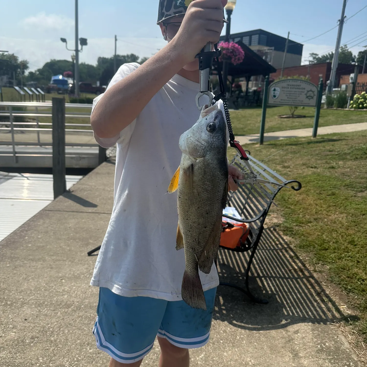 catch