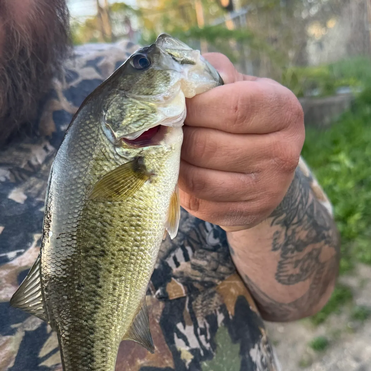catch