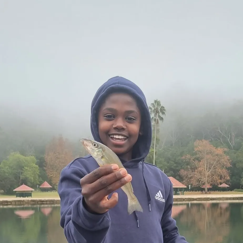 The most recent Sand sillago catches on Fishbrain