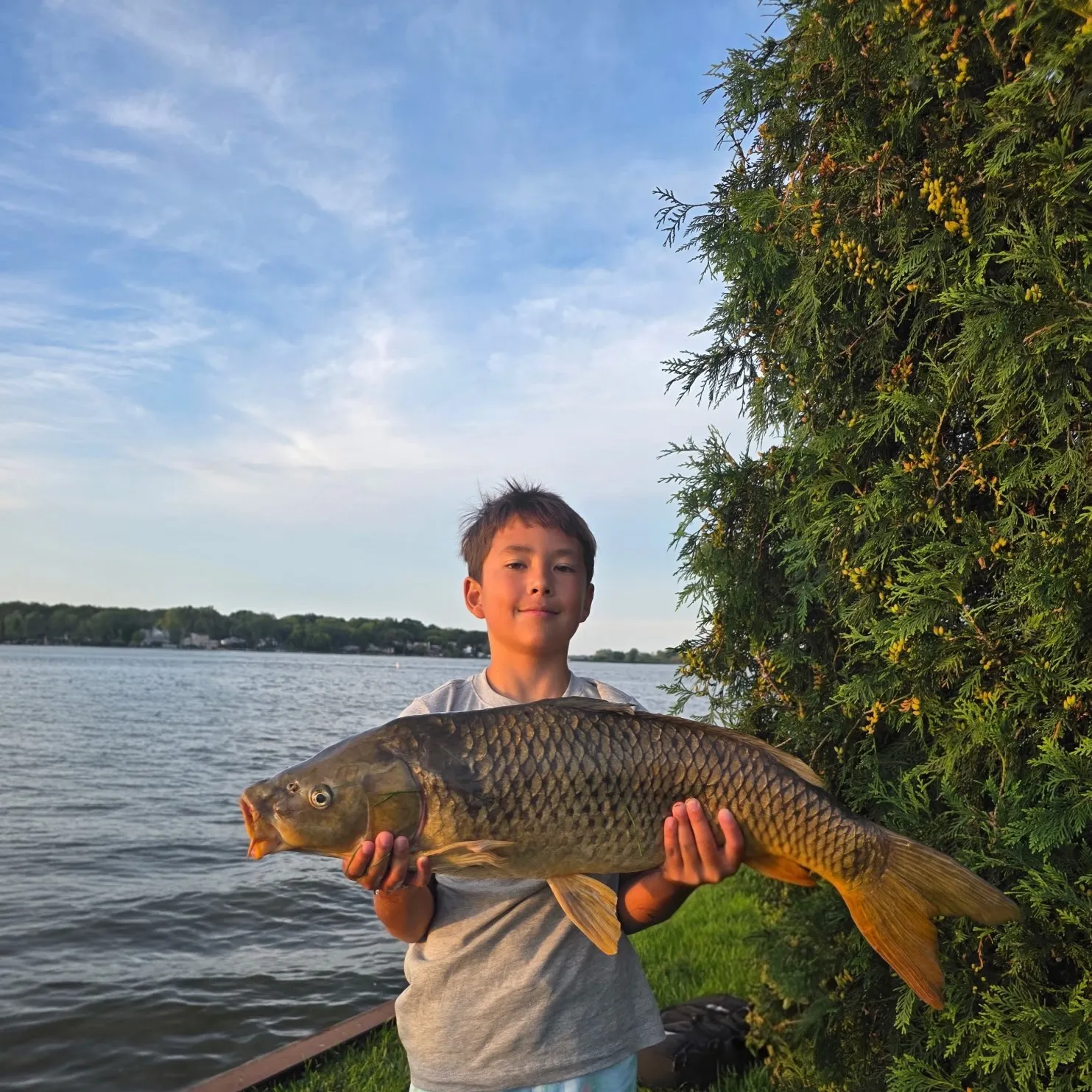 Common carp caught on Fishbrain