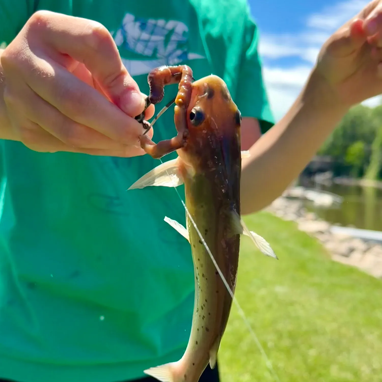 catch