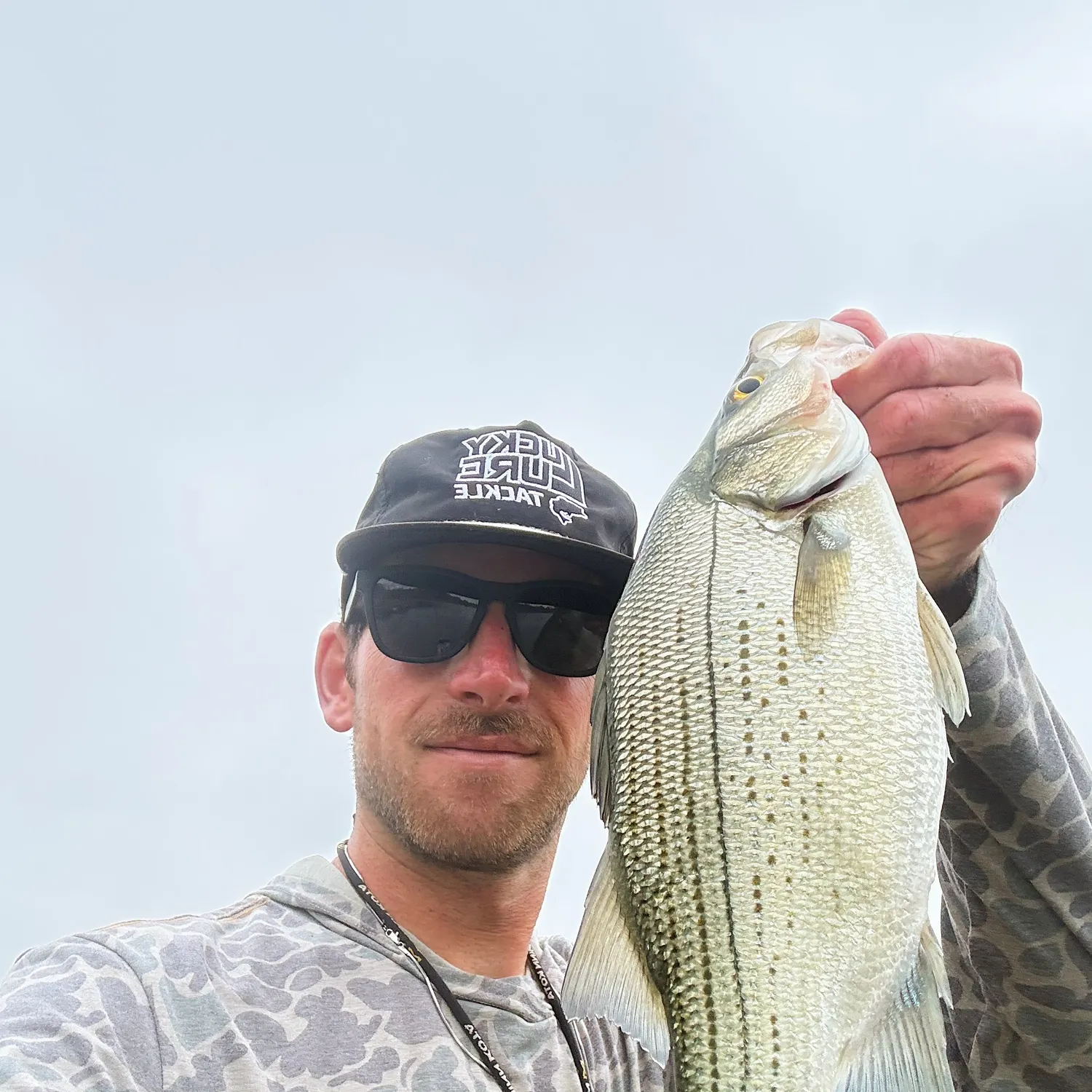 The most recent White bass catches on Fishbrain