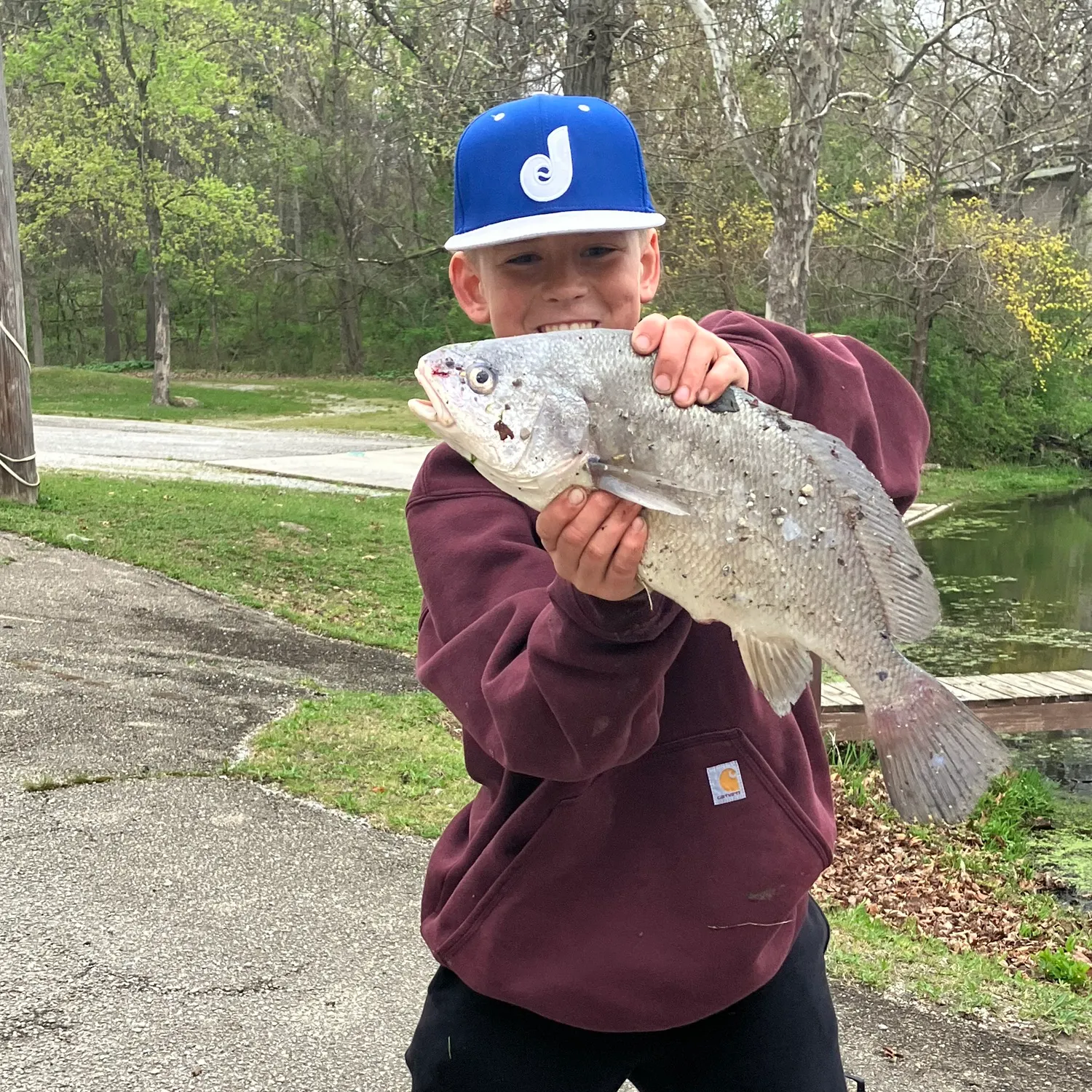 The most recent Freshwater drum catches on Fishbrain