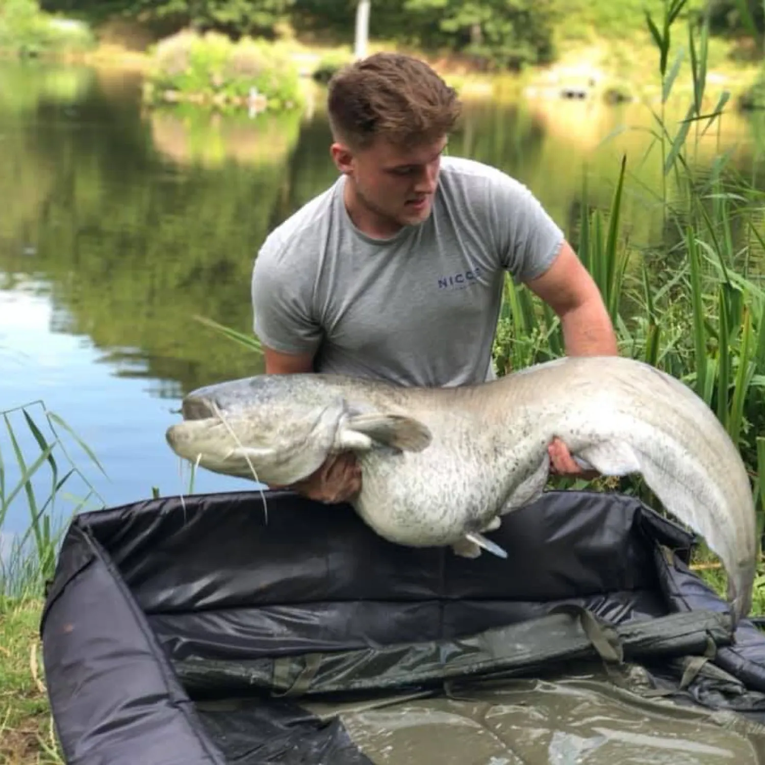 angler catch