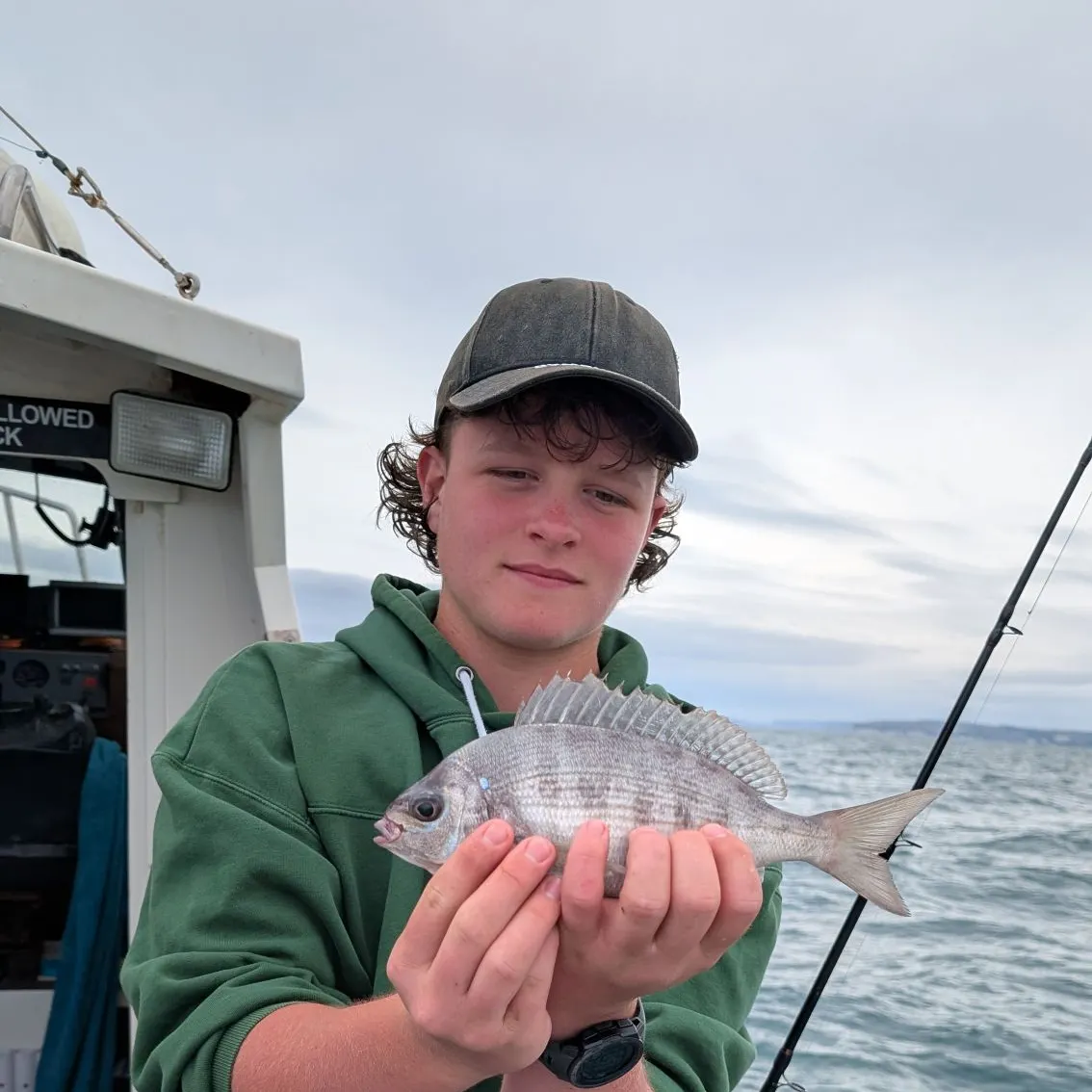 The most recent Black seabream catches on Fishbrain