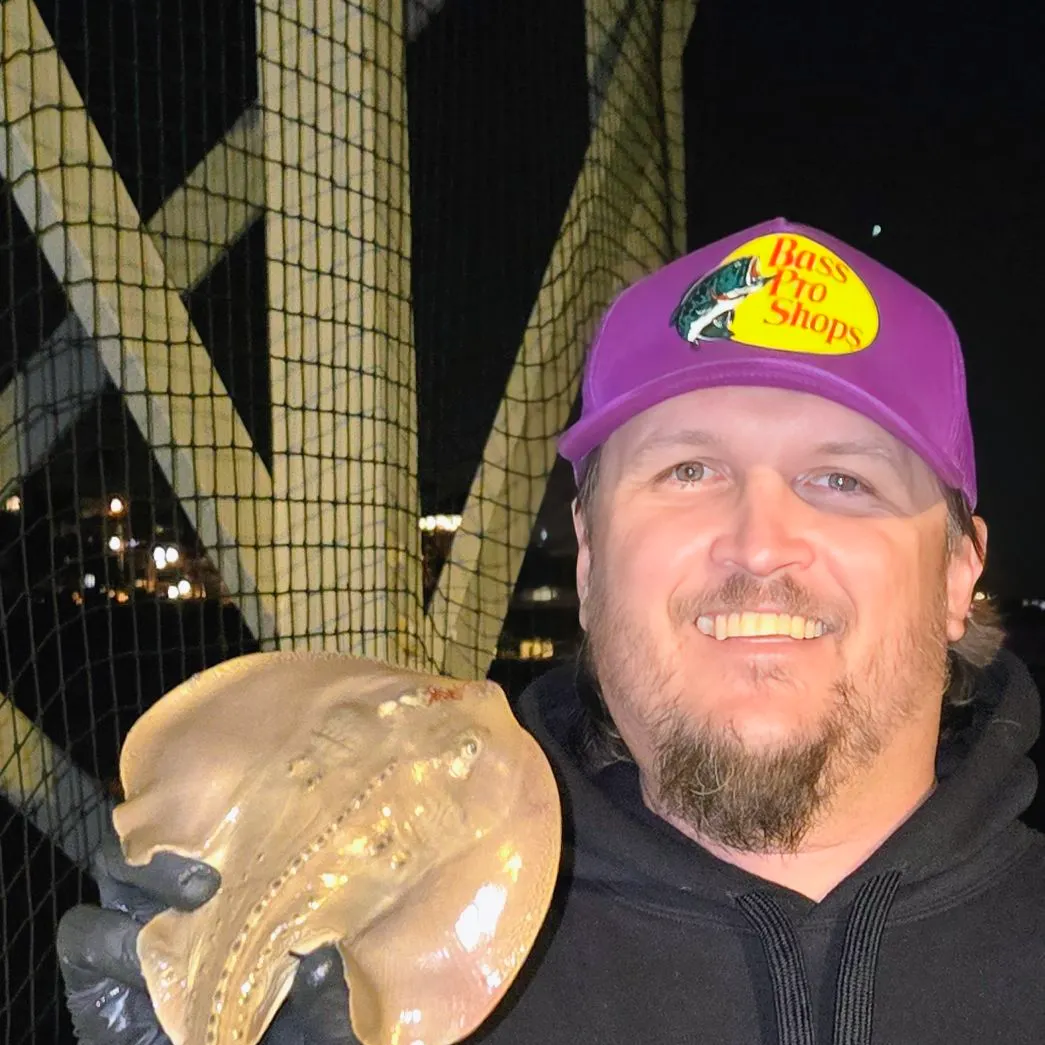 The most recent Thornback guitarfish catches on Fishbrain