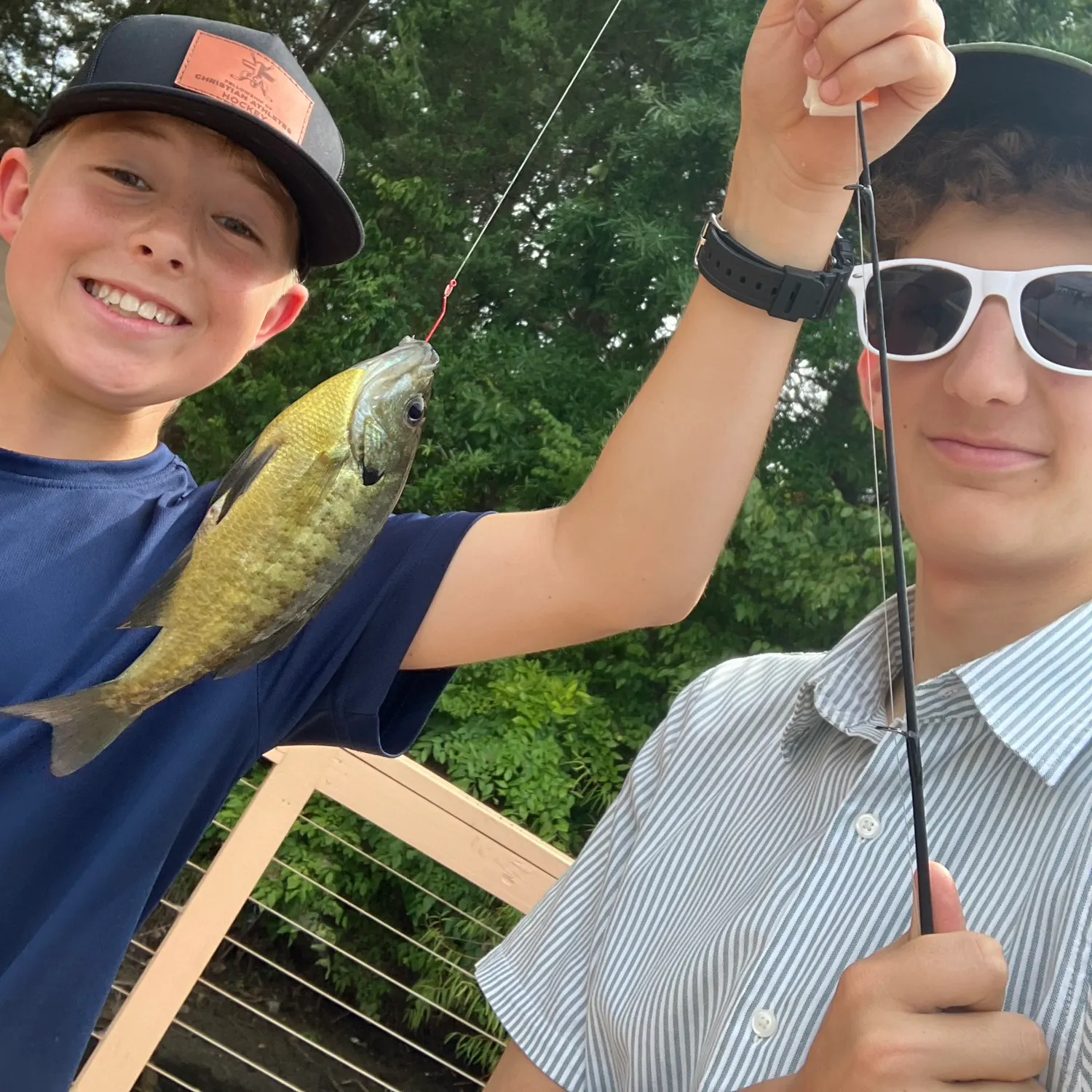 Bluegill caught on Fishbrain
