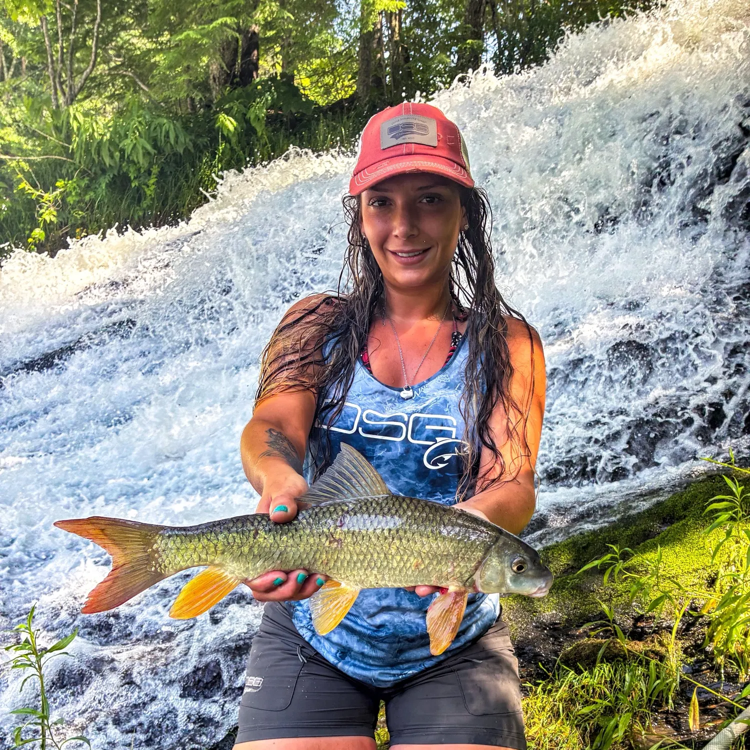 The most recent Shorthead redhorse catches on Fishbrain