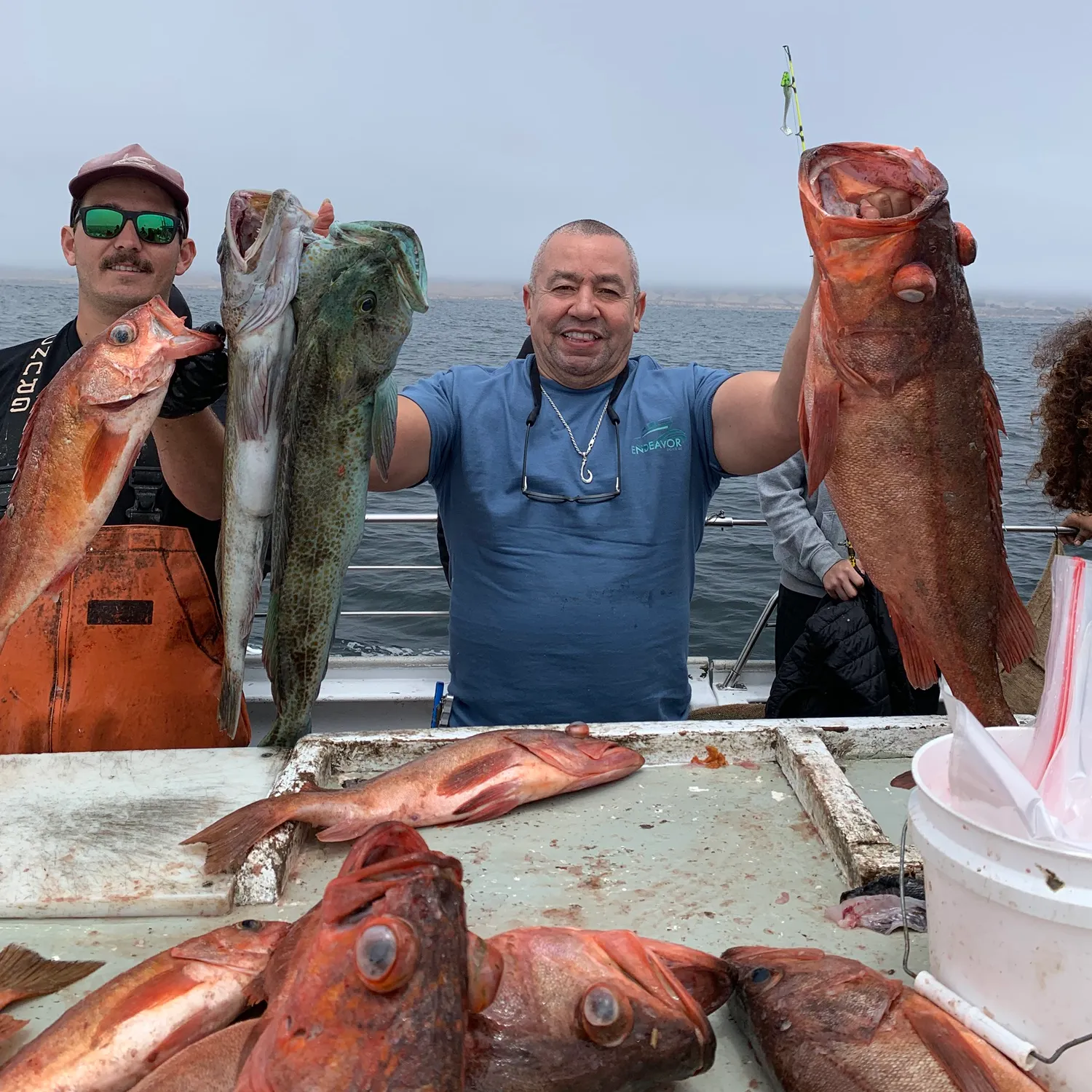 The most recent Lingcod catches on Fishbrain