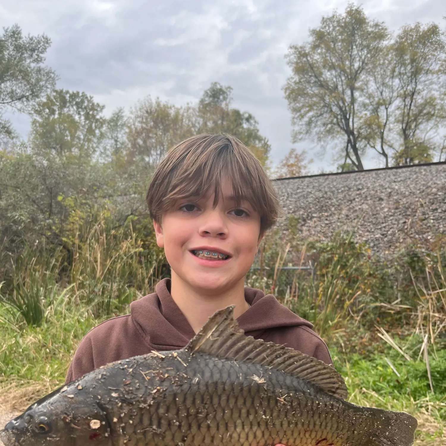 Common carp caught on Fishbrain