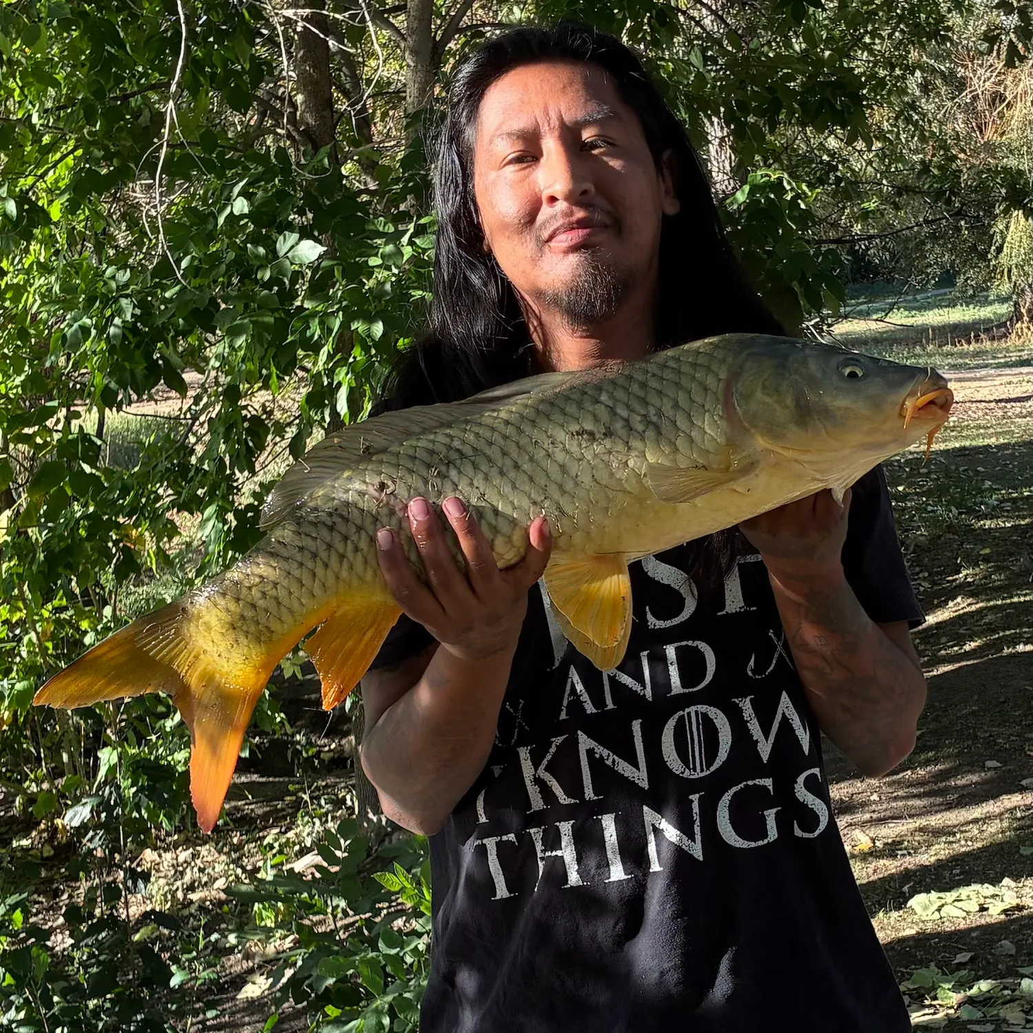 Common carp caught on Fishbrain
