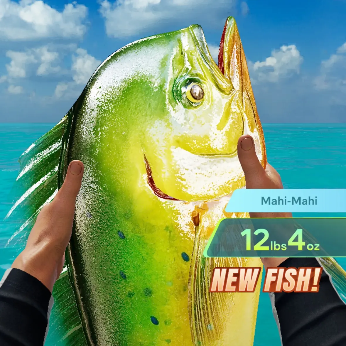 The most recent Common dolphinfish catches on Fishbrain
