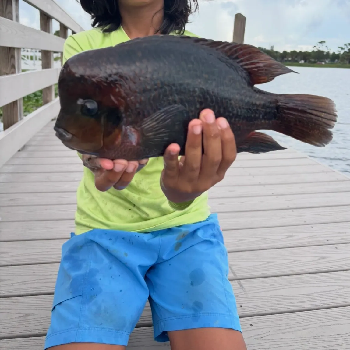 The most recent Redhead cichlid catches on Fishbrain