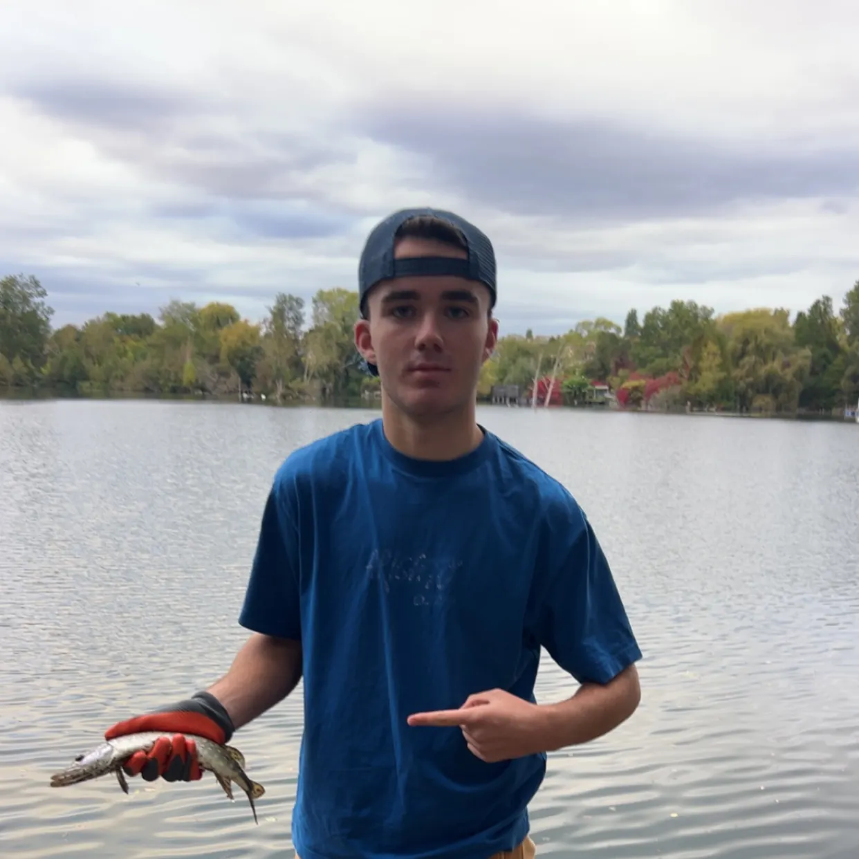 Northern pike caught on Fishbrain