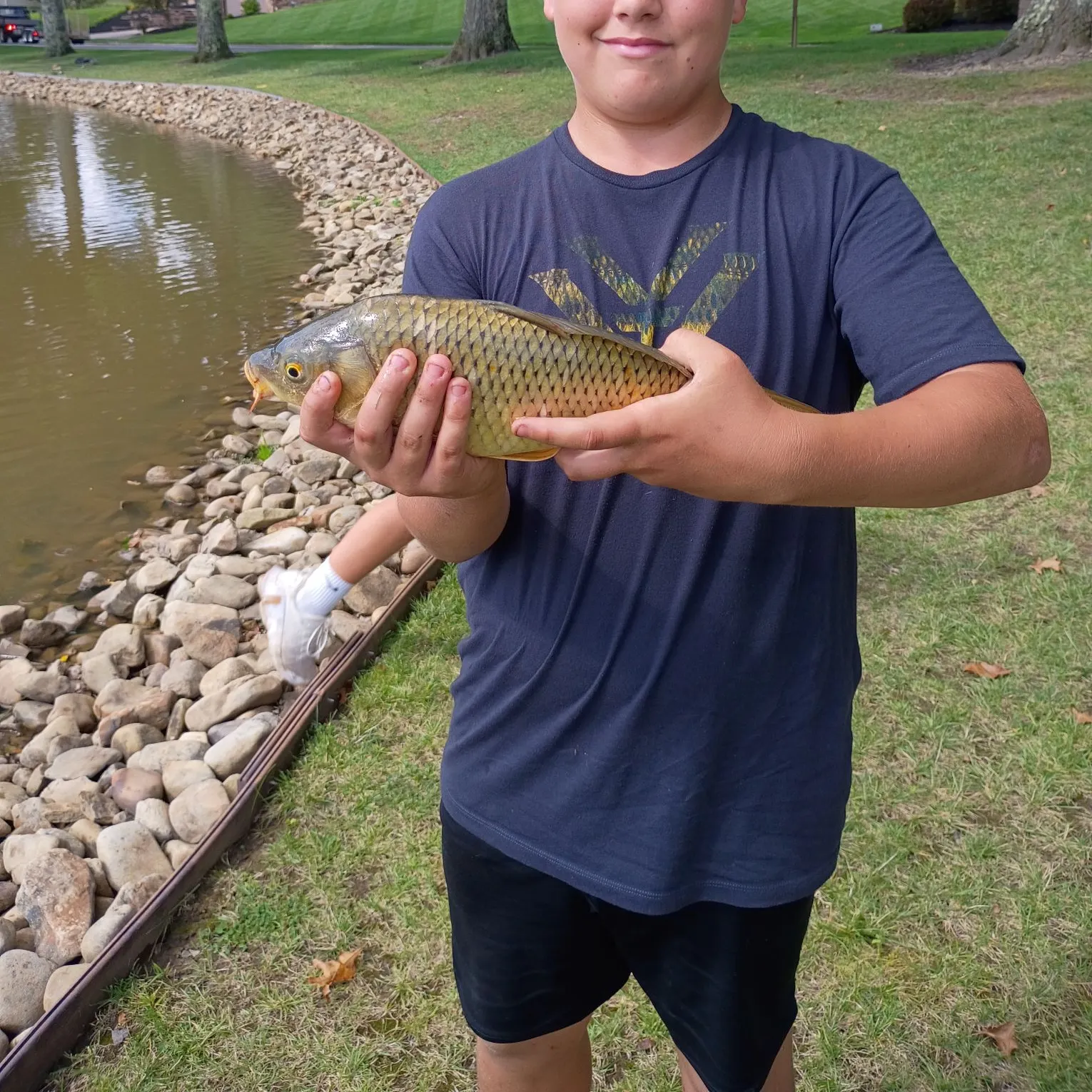 Common carp caught on Fishbrain